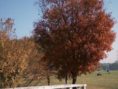 -昆山城市生态森林公园