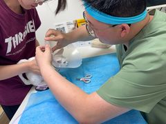 -达爱动物医院·犬猫分区·CT·复杂眼科(远洋山水分院)