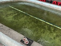 -光头佬室内钓虾场·烧烤·团建·亲子(中山八路店)