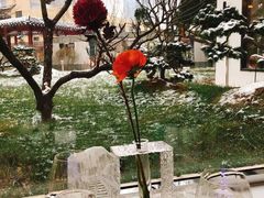 -九献创意菜·牛排馆(亮马河花园店)