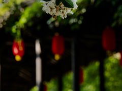 -惠山古镇·寄畅园