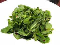 薄荷爽-九十九顶毡房(阜石路店)