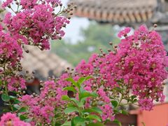 -妙应寺白塔