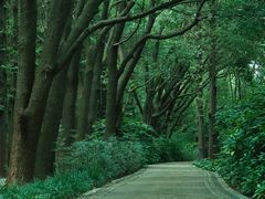 -同里国家湿地公园