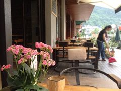 iphone_upload_pic-山色柴火烤披萨·原切牛扒