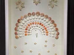 -青岛贝壳博物馆