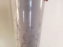 鲜芋青稞牛奶-CoCo都可(火车站东广场店)