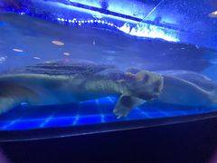 -湘里乡亲甲王二老店