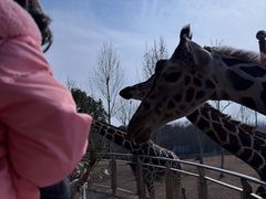 -合肥野生动物园