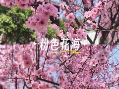 -堤角公园