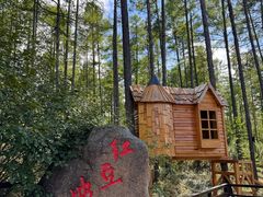 -莫尔道嘎国家森林公园