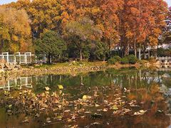 -河南省黄河迎宾馆