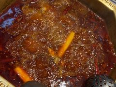 -蜀九香火锅(玉林店)