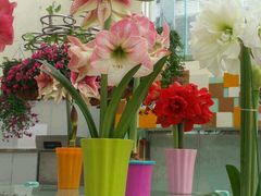 -广州花之恋城堡酒店
