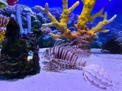 -多彩贵州城极地海洋世界