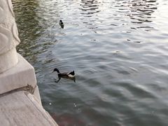 -迎泽公园