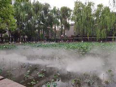 -四川大学(望江校区)