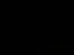 -泮溪酒家(荔枝湾店)