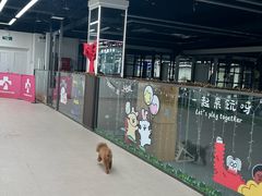 -全心全意动物诊疗中心医院(北苑店)