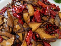 -山菌美食苑(振兴路店)