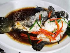 -坛南湾阿强农家乐.海鲜大排档老字号(福州地标美食店)