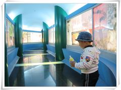 -上海昆虫博物馆