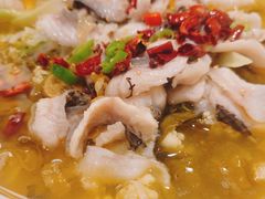大炮酸菜鱼-醉得意·山茶油炒土鸡(泰安万达店)