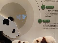 -四川大学博物馆