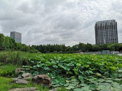 -南翔镇银翔湖公园