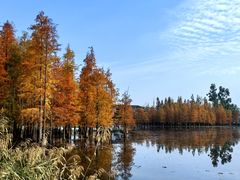 -白鹭湾湿地公园