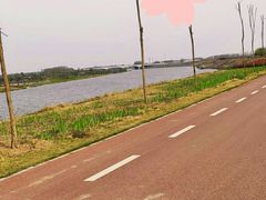 -沙颍河公园