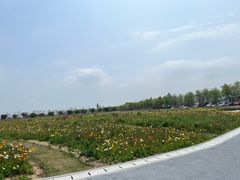 -漩门湾国家湿地公园