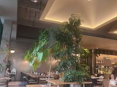 -gaga(金地威新中心店)