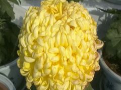 android_upload_pic-迎泽公园