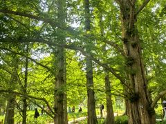 -国家植物园南园