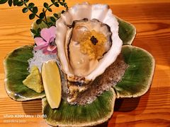 -龙酒场·关西寿喜烧·居酒屋(罗湖店)