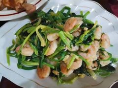 -大班家政月嫂育儿嫂(总部店)