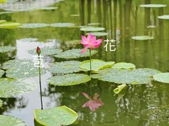 -大宁公园
