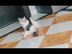 -粤陶渊.DIY陶艺体验馆(粤陶总店)