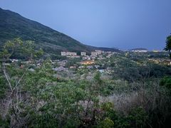-三亚亚龙湾人间天堂鸟巢度假村