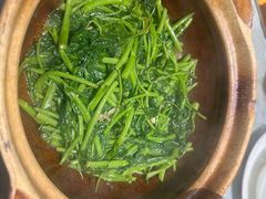 -熠盛粤味·顺德桑拿鸡(永康路店)