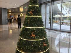 -深圳湾万象城(南山店)