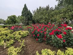 -春晖园度假酒店温泉