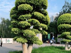 -不二茶空间·养生宴(石景山店)