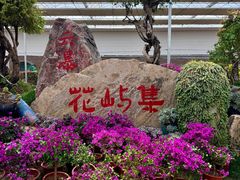 -沂蒙云瀑洞天景区