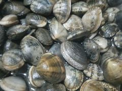 炒蛤蜊-三乐海鲜水饺馆