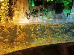 -左海海底世界