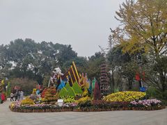 -南山植物园