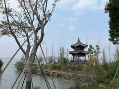 -东钱湖小普陀景区