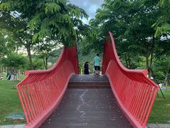 -白石龙音乐公园